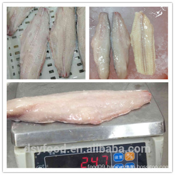 factory offer frozen sea catfish fillet